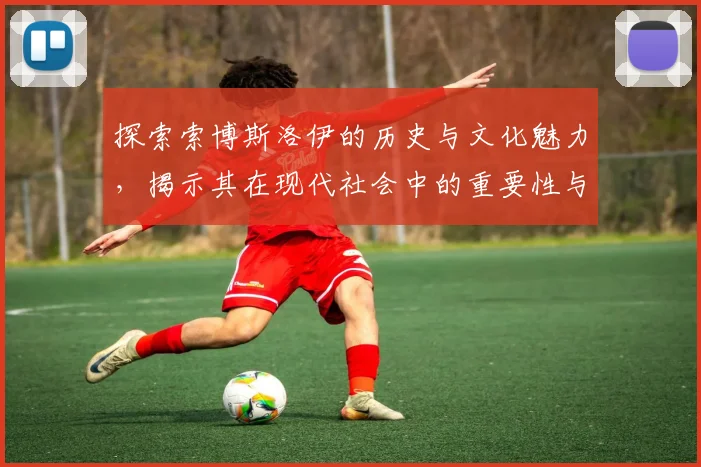 探索索博斯洛伊的历史与文化魅力，揭示其在现代社会中的重要性与影响力