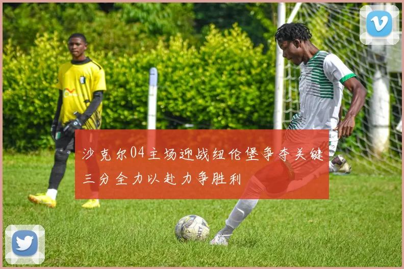 沙克尔04主场迎战纽伦堡争夺关键三分全力以赴力争胜利