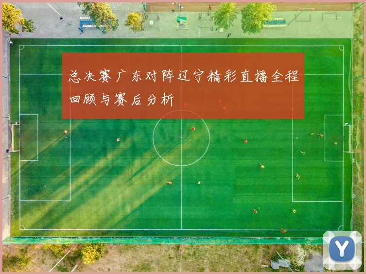 总决赛广东对阵辽宁精彩直播全程回顾与赛后分析