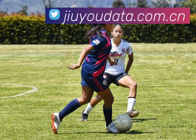 九游体育APP 封面图